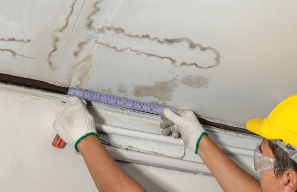 Reliable Flood Cleanup contractor in Wellington, OH by Water Damage Irwin